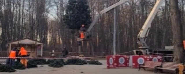В Рязани в Лесопарке установили новогоднюю ель